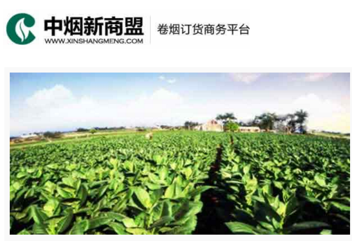 中烟新商盟卷烟订货商务平台-新彩网app